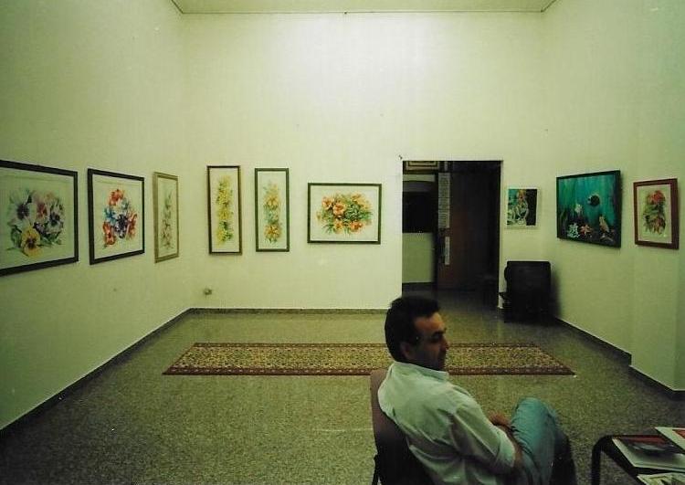 Esposizione della mostra di Bibi Guarnieri