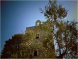 Escursione in agro di Bisceglie: Torre di Saggina 